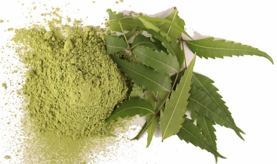 bot la neem
