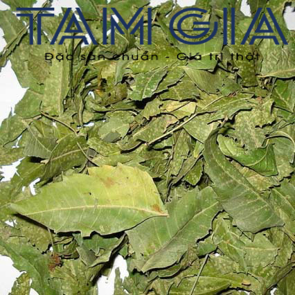 neem la gi