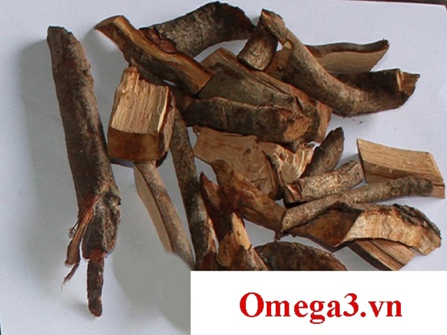 Tại Omega3.vn bạn sẽ tìm thấy rất nhiều loại dược liệu tự nhiên, trong đó có cây tơm trơng